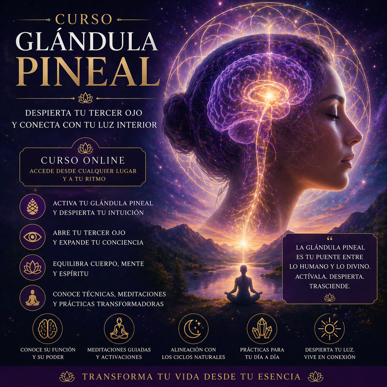 Curso Activación de la Glándula Pineal